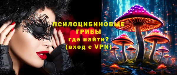 дмт Алексин