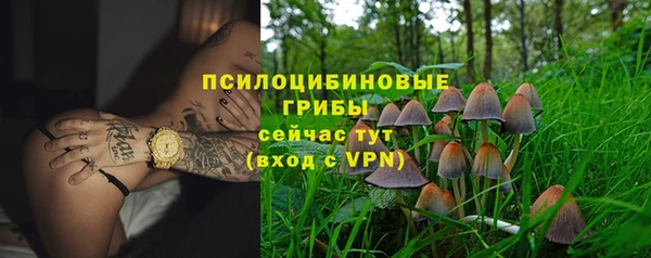 шишки Алексеевка
